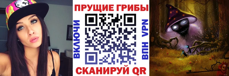 ОМГ ОМГ рабочий сайт  Козловка  Галлюциногенные грибы Psilocybine cubensis 